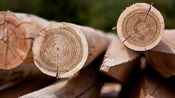 Produits en acacia Produits en acacia