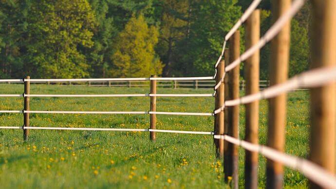 Clôtures électriques Clôtures électrique