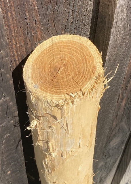 Piquet acacia rond, écorcé, pointé - Ø 6/8 cm 
