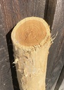 Piquet acacia rond, écorcé, pointé - Ø 6/8 cm 