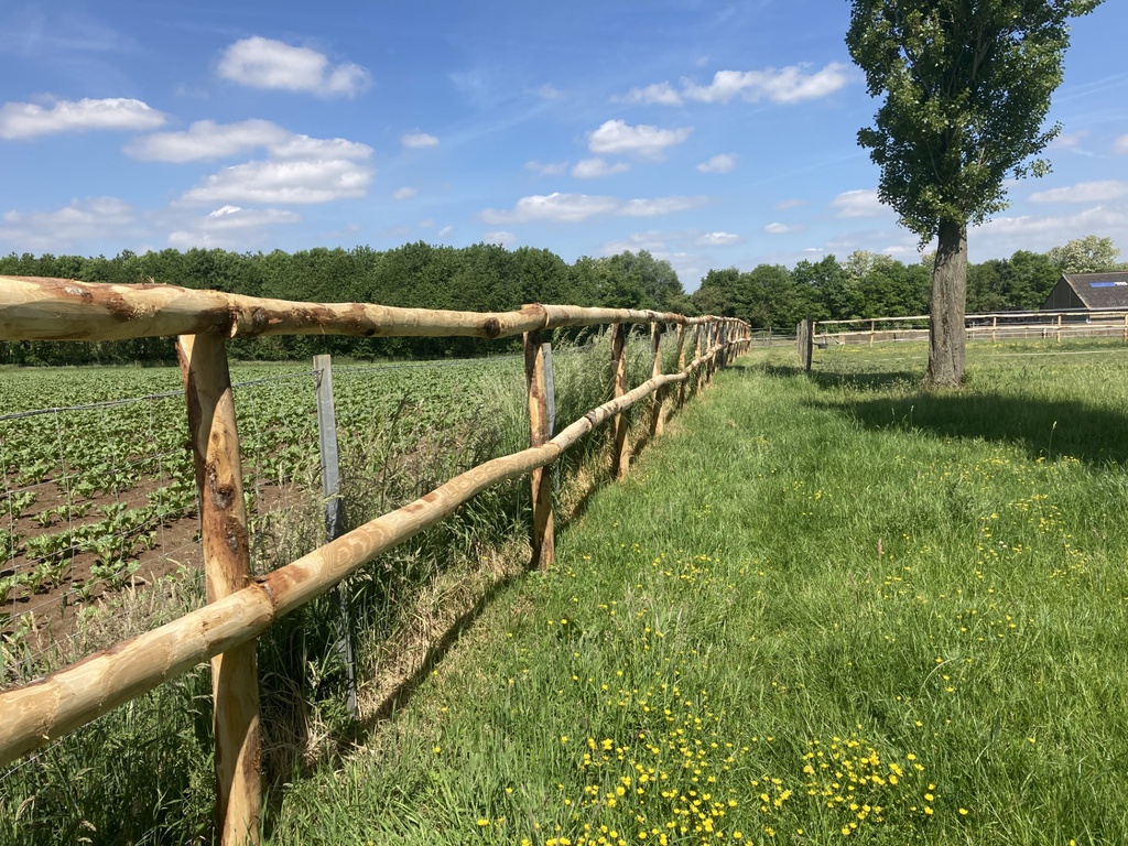 Demi rond en châtaignier scié, écorcé, non pointé