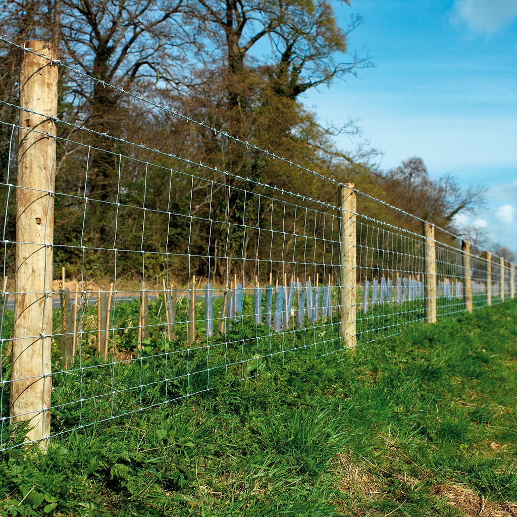 Ursus léger Betafence