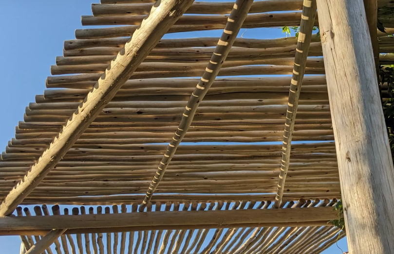 Rondin eucalyptus naturel, poncé, non pointé Ø 32-50 mm (L : 300 cm)