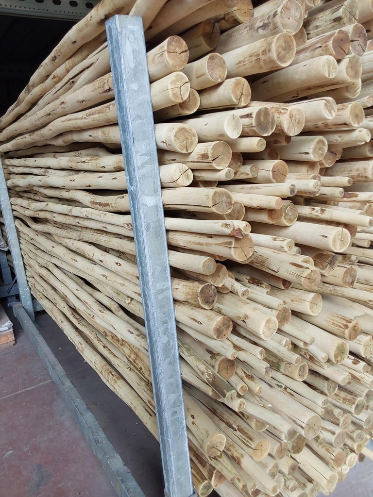 Rondin eucalyptus naturel, poncé, non pointé Ø 15-35 mm (L : 450 cm) 