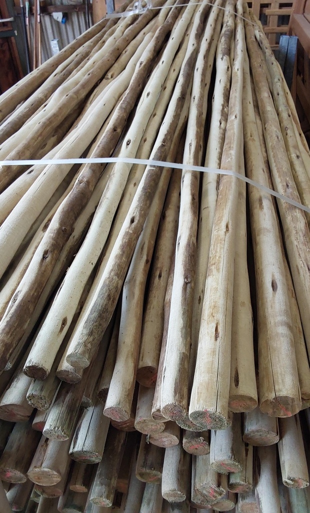 Rondin eucalyptus naturel, poncé, non pointé Ø 32-50 mm (L : 300 cm)