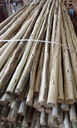 Rondin eucalyptus naturel, poncé, non pointé Ø 32-50 mm (L : 300 cm)