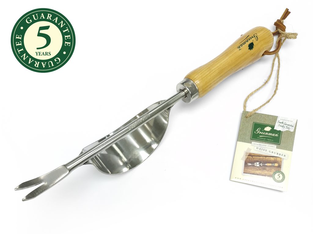 Roestvrijstalen onkruidsteker met essenhouten steel van 35 cm GREENMAN
