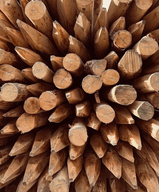 Kastanje palen ronde, geschild, gepunt - Ø 8/10 cm