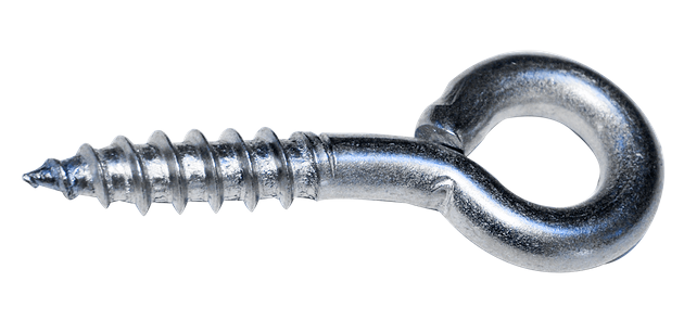 Piton à visser 6,0 x 25 mm Zn, l'unité