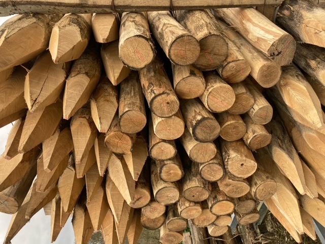 Piquet acacia rond, écorcé, pointé - Ø 14/16 cm