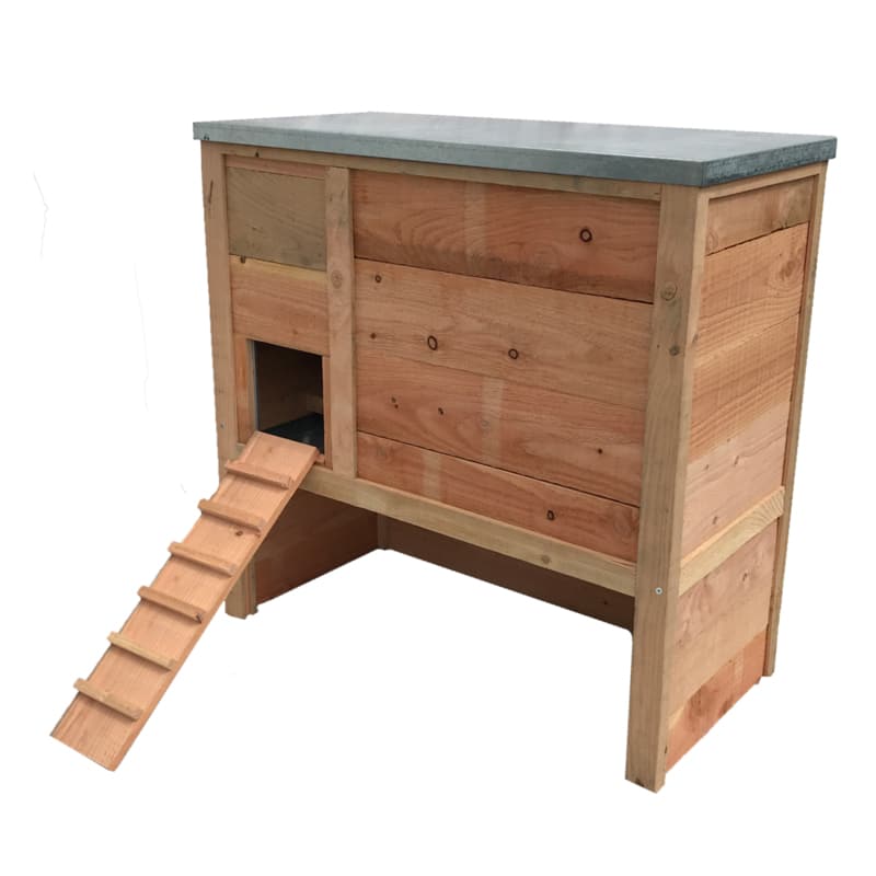 Poulailler Sebright 2 poules en Douglas 