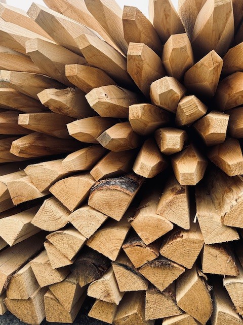 Kastanjehouten paal, 1/4 gezaagd, ontschorst, gepunt – omtrek 18-24 cm 