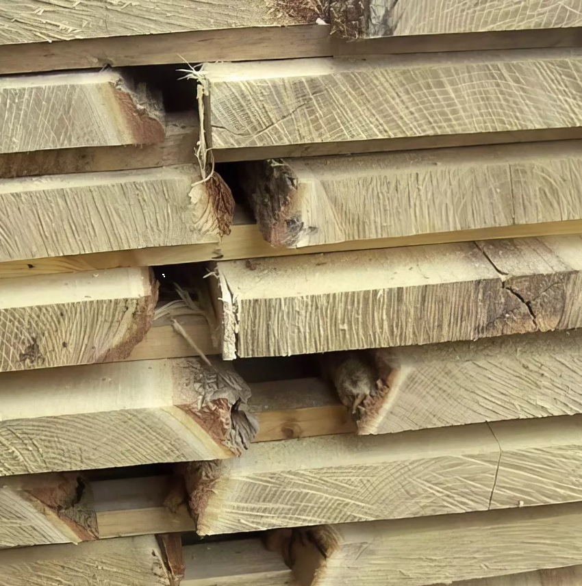 Planche en acacia (robinier) sciée brute avec écorce - non avivée
