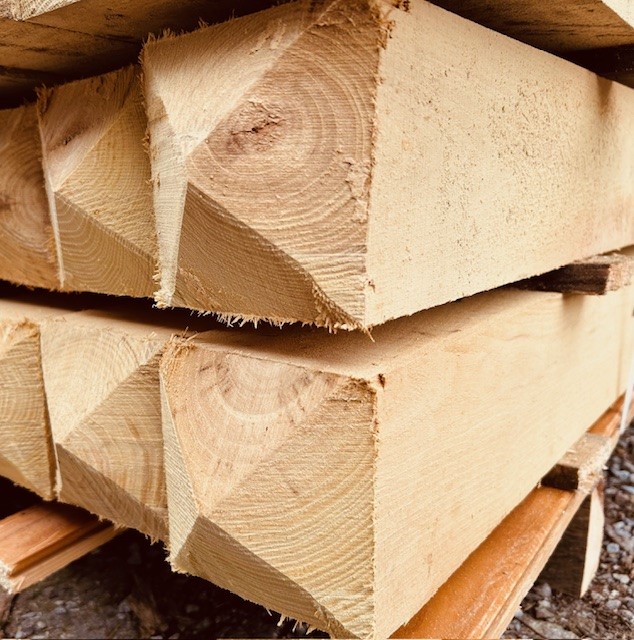 Robinia square post diamond head - 10 x 10 x 200 cm