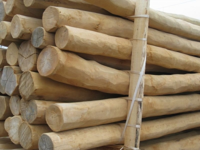 Poteau en acacia (robinier), sans aubier, poncé - Ø 6-8 cm