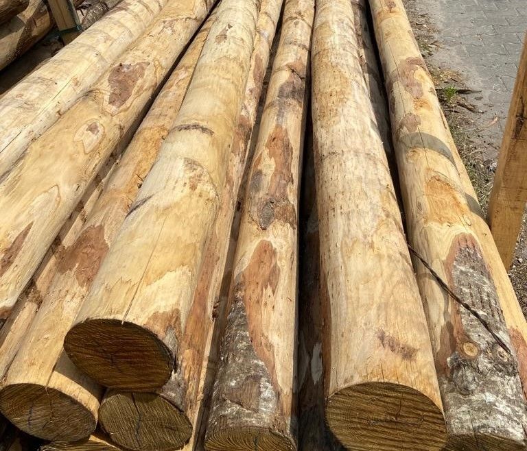 Kastanje paal rond ontschorst, NIET puntig  - Ø 8/10 cm 