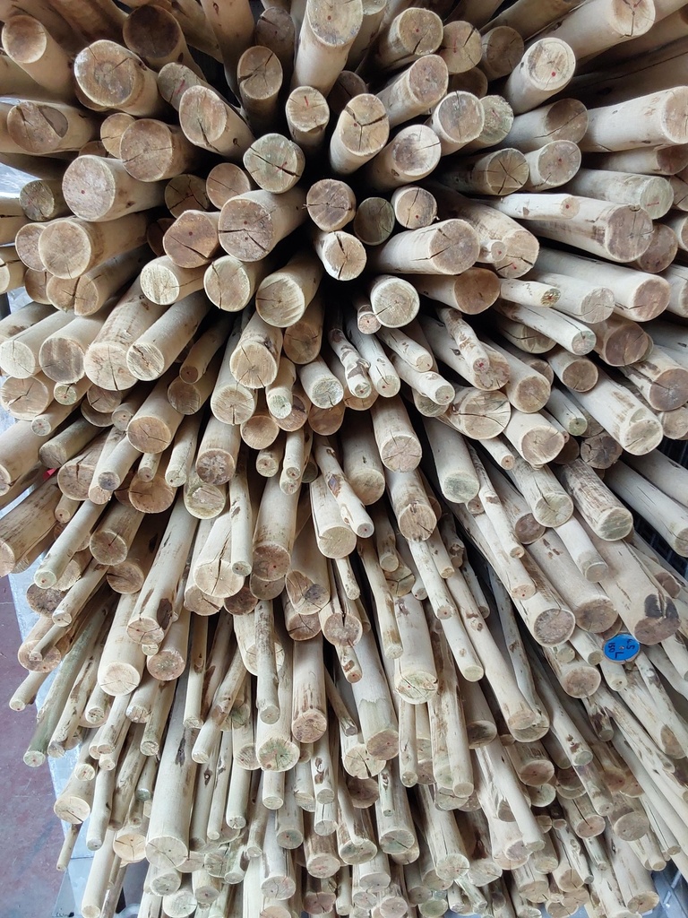 Rondin eucalyptus naturel, poncé, non pointé Ø 32-50 mm (L : 300 cm)