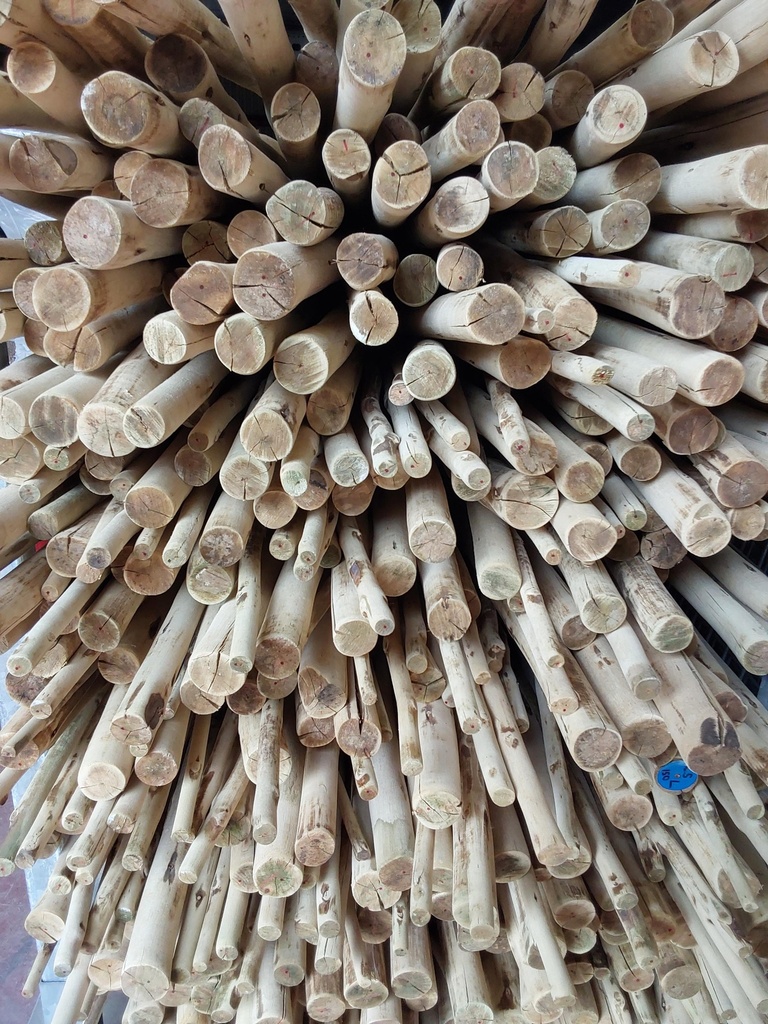 Rondin eucalyptus naturel, poncé, non pointé Ø 15-35 mm (L : 450 cm) 