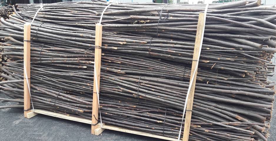 Gaulette en châtaignier non écorcée 300 cm Ø 20/35 mm, l'unité