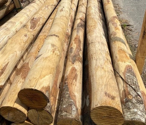 Piquet en châtaignier rond, écorcé, NON pointé - Ø 10/12 cm