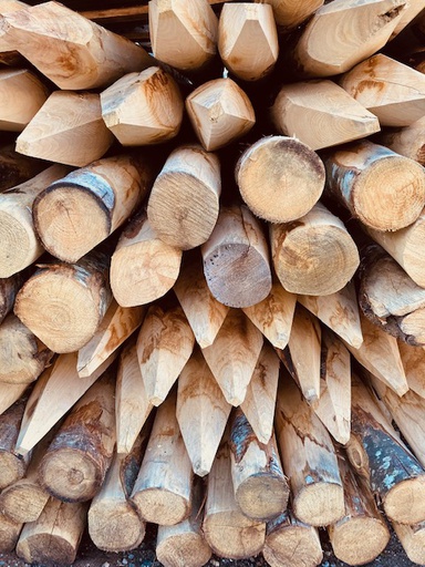 Piquet en acacia rond, écorcé, pointé Ø 12/14 cm 