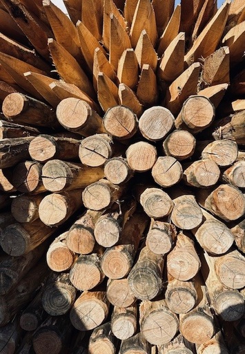 [ZPIQ.R.ACA160D06-08] Piquet en acacia rond, écorcé, pointé - DESTOCKAGE