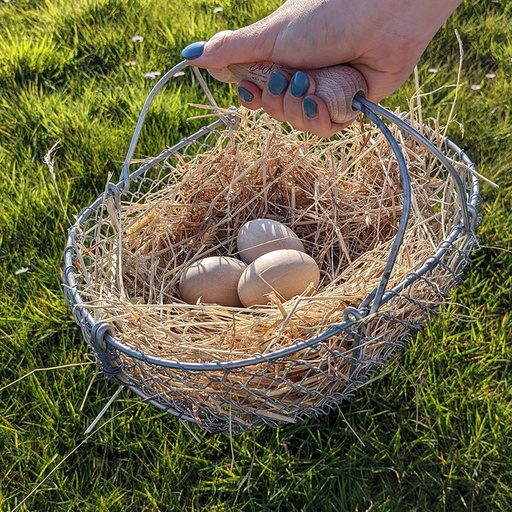 [COT-PM7] Panier à œufs en fil tressé galvanisé, 7L 